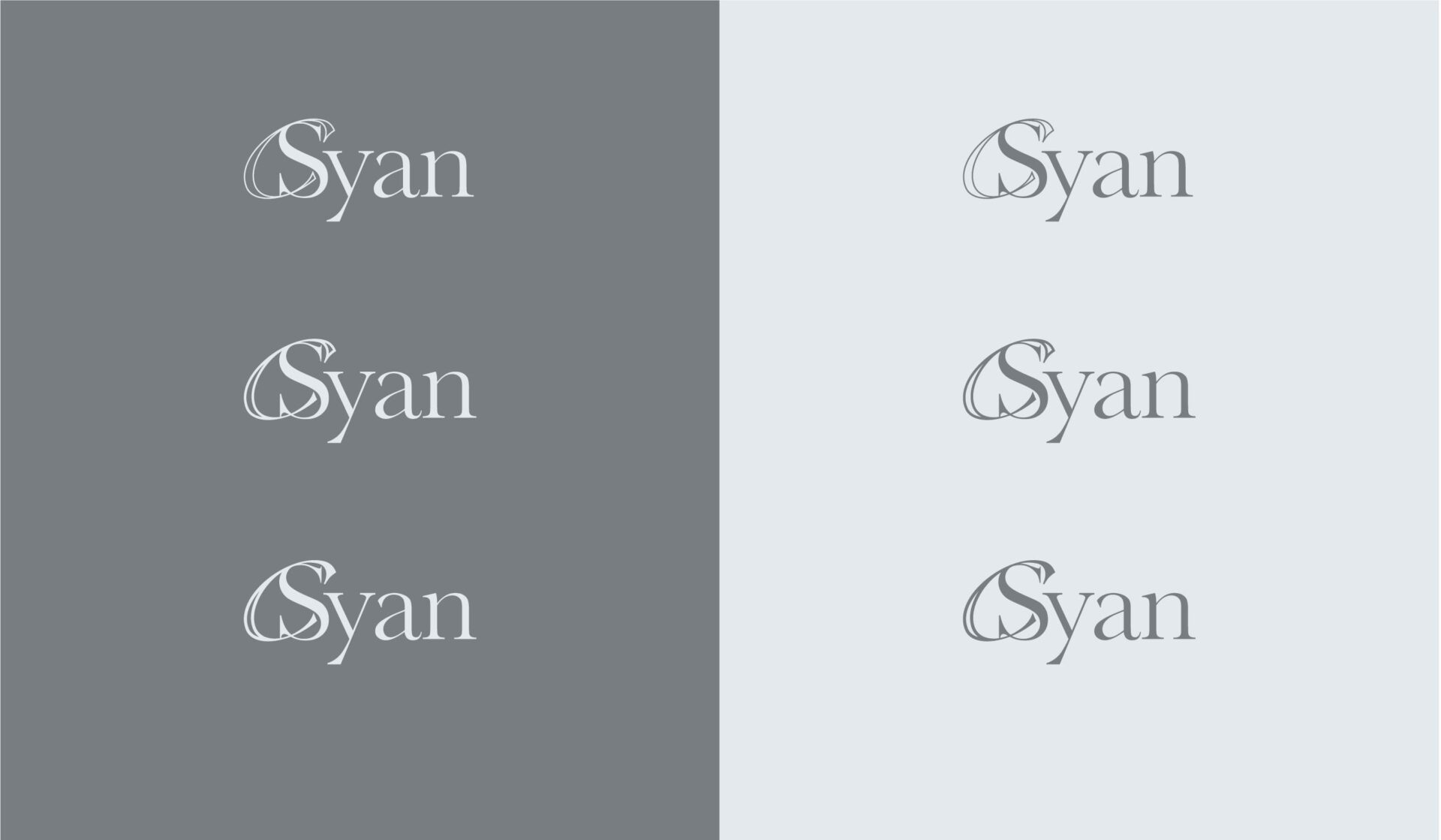 syan_logo3