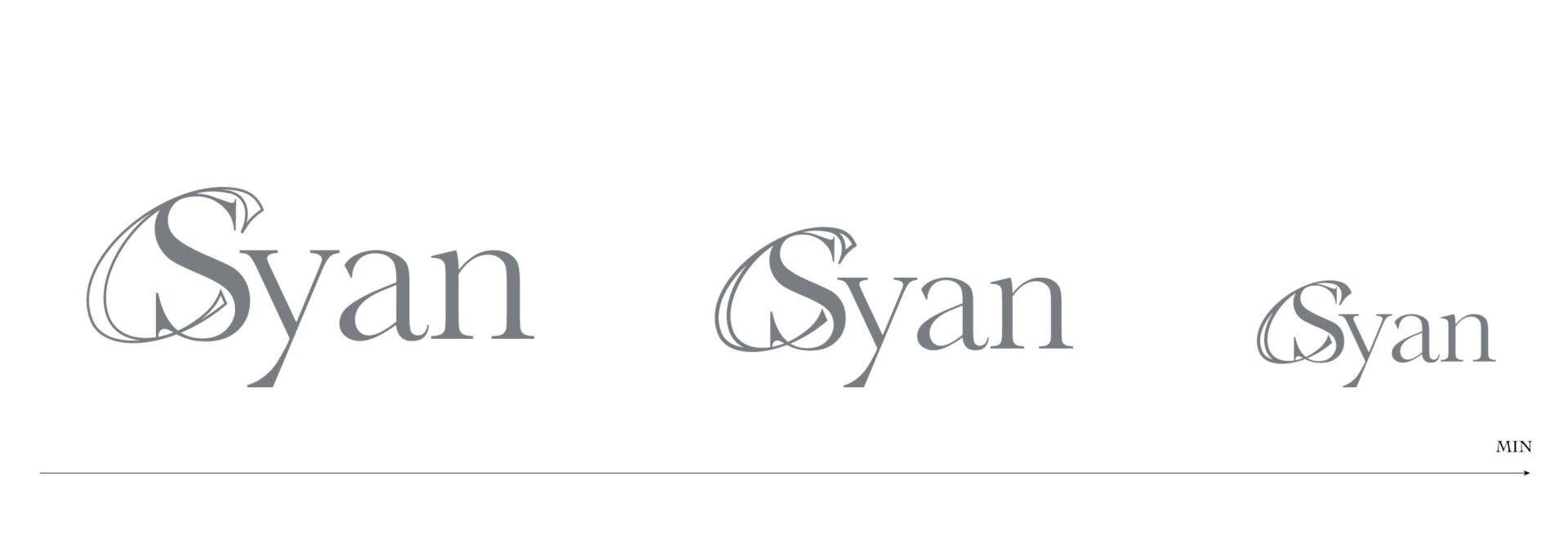syan_logo3